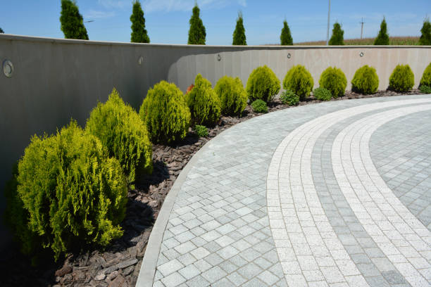 Best Concrete Paver Driveway  in Ricardo, TX
