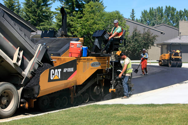 Best Driveway Pavers Near Me  in Ricardo, TX