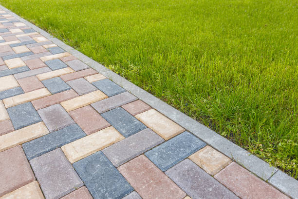 Best Concrete Paver Driveway  in Ricardo, TX